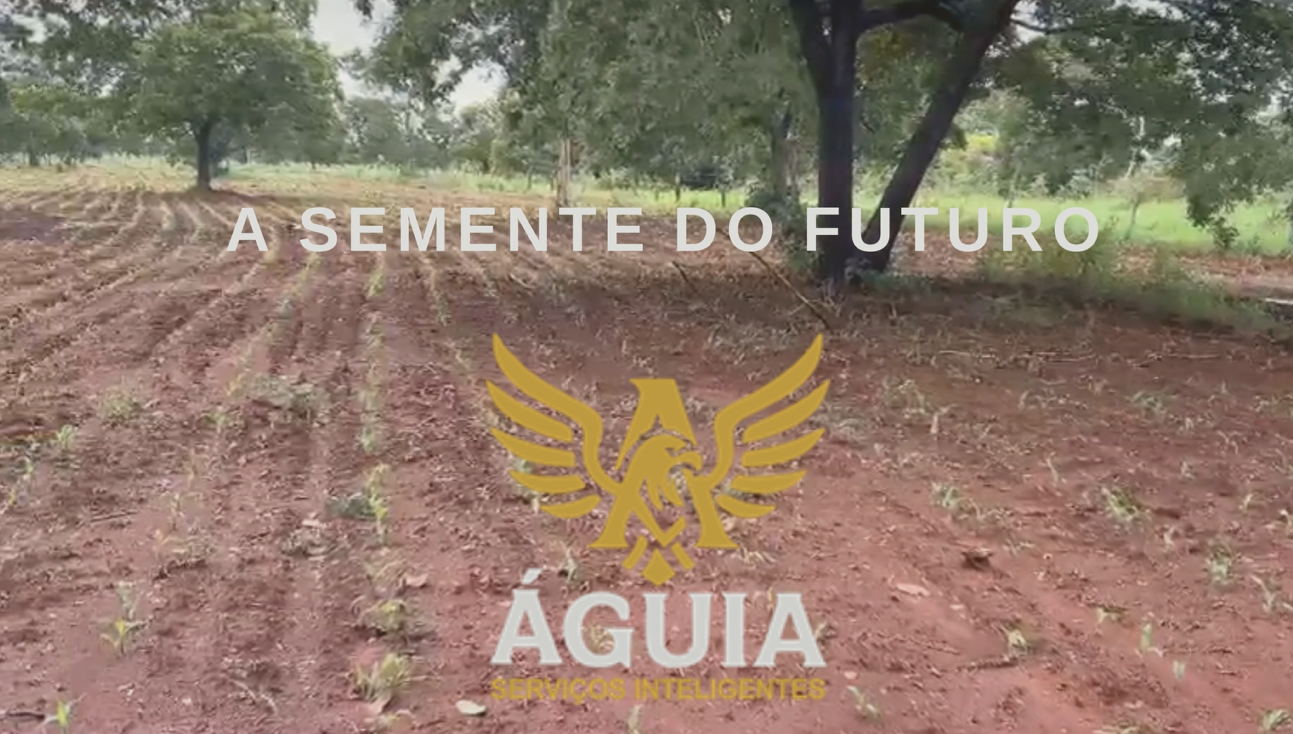 Lavoura Solidária